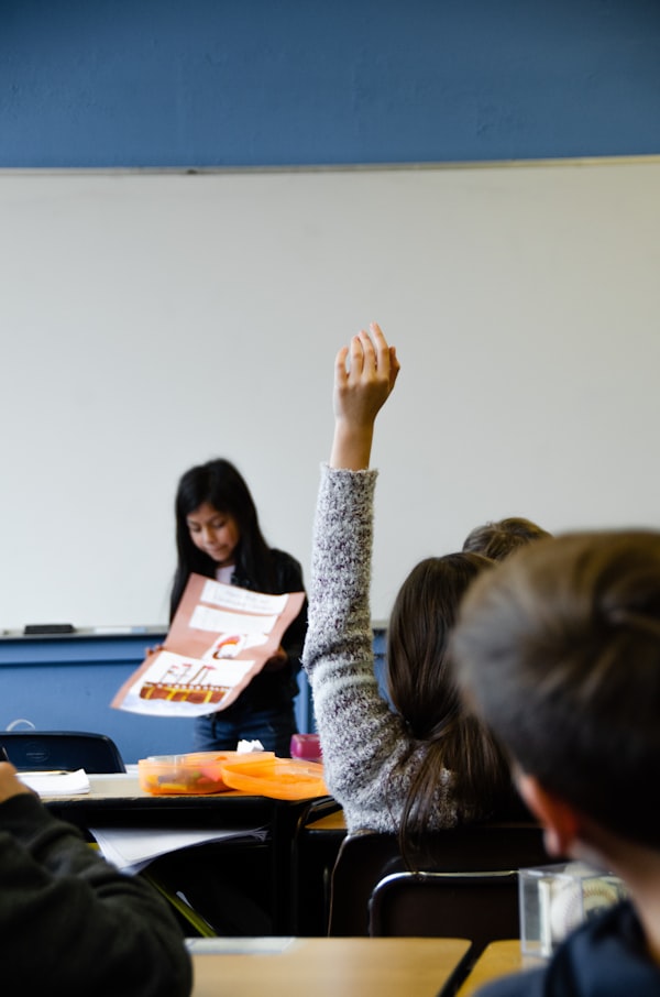 Students raising their hands in class